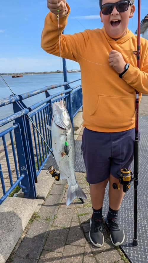 Alfie Poppy Bass 4lb 4oz Erith Pier Sep 2024