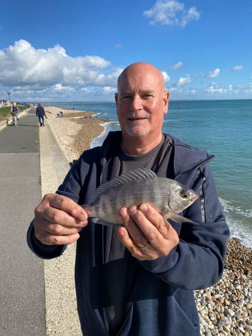 Andy Dibden Black Bream, Long Weekend Oct 23, Selsey