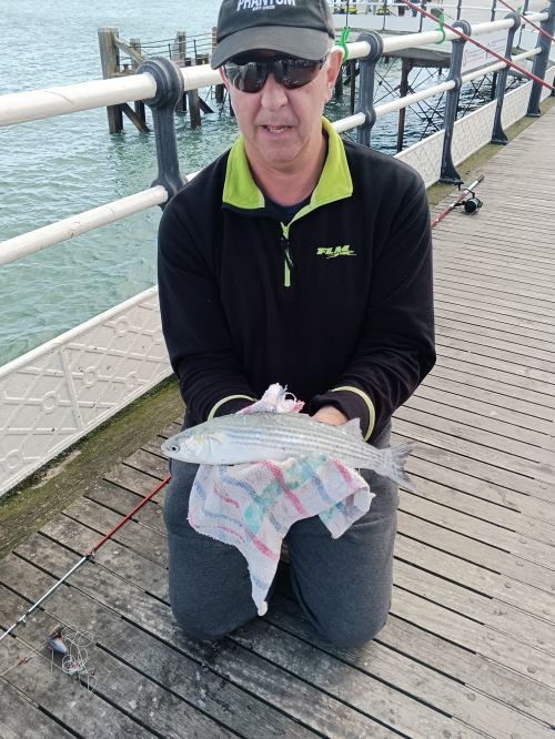 Barry Llewellyn Golden Grey Mullet, Long Weekend Oct 23 Worthing Pier