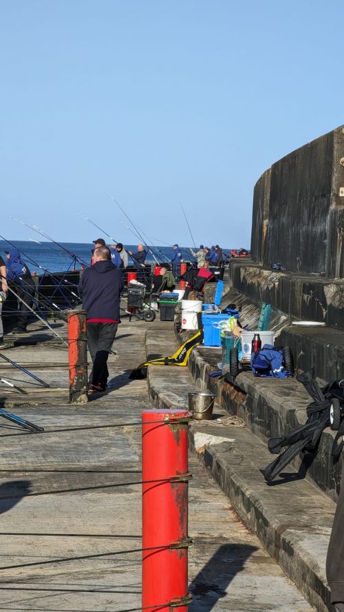 Brighton East Arm 21 April 2024