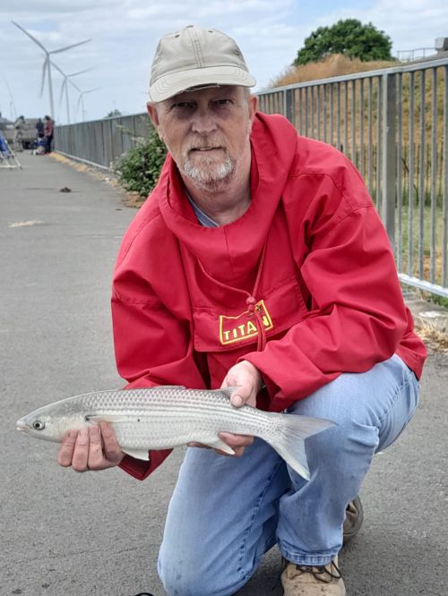 Ian Reynolds 2lb 12oz Grey Mullet Tilbury Fort July 2023