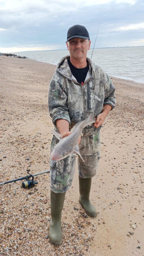 Laszlo Mundi 93cm Hound, 6lb 6oz, Bartons Point, Minster, Aug 2023