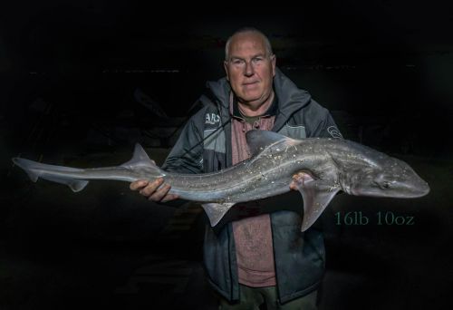 Martin Grossman 16lb 10oz Smoothound Southend social fish June 2023