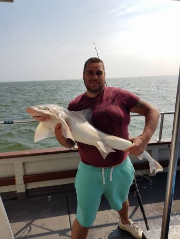 Steve Persaud 21lb Smoothound 9 May 2018 Predator private trip