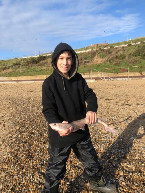 Yannis Beasley-Malik, Junior Member, Dogfish. Clacton Feb 2024